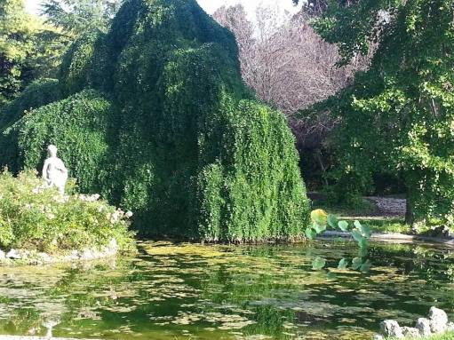 La pièce d'eau, romantique et bucolique du Borgo Seghetti Panichi